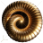 Spiral neutral 500x500